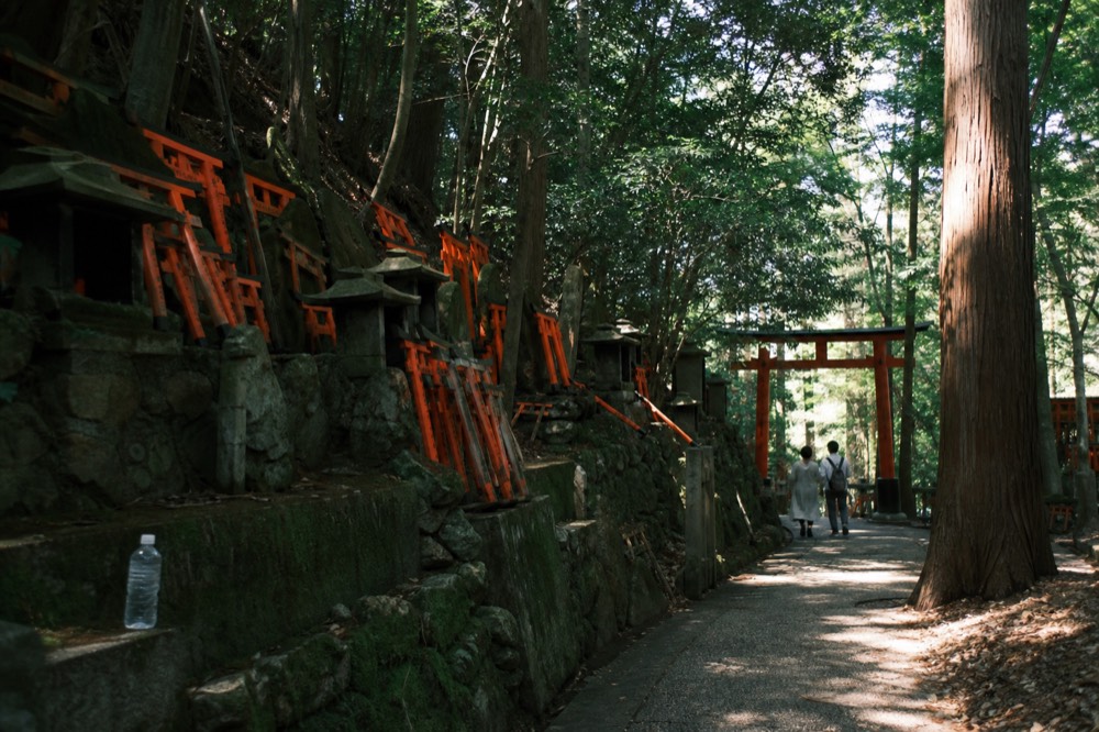 A wide view of the mountain trail with smaller torii gates and shrine buildings among trees