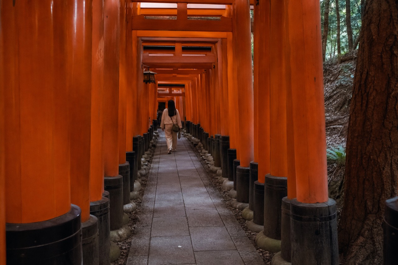 A path winding through a tunnel of bright vermilion torii gates on a forested mountain slope