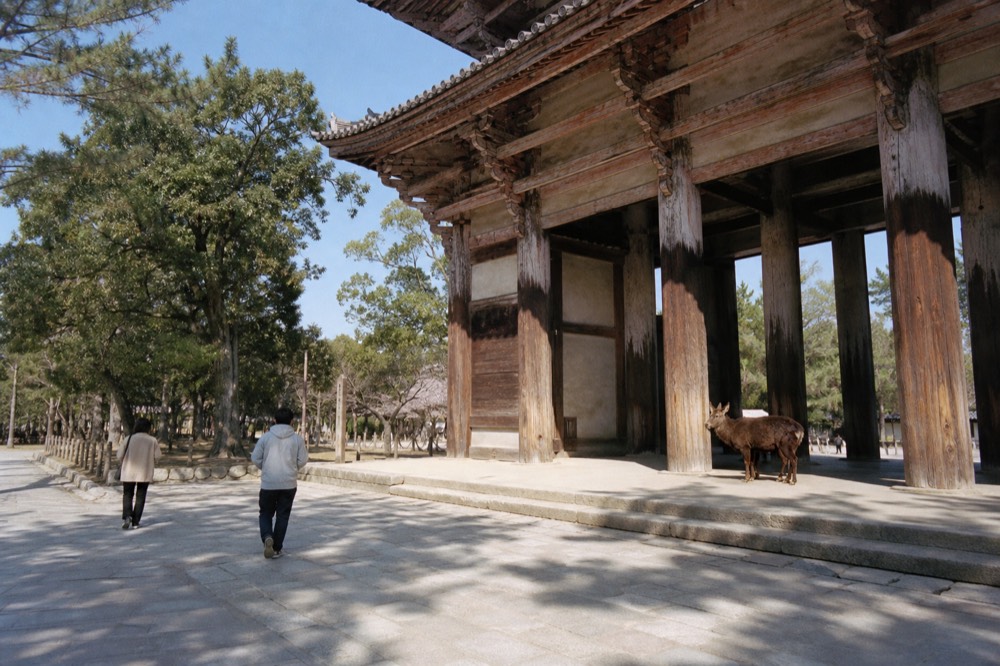 The large wooden gate at the entrance to the Todai-ji precinct under a clear sky