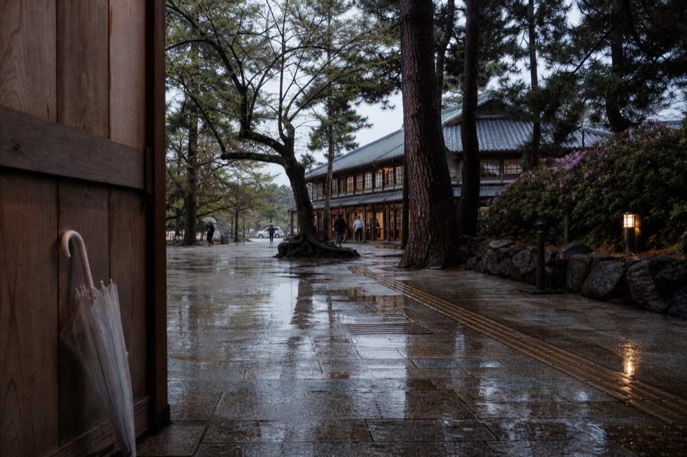 Wooden station building surrounded by trees near Nara Park