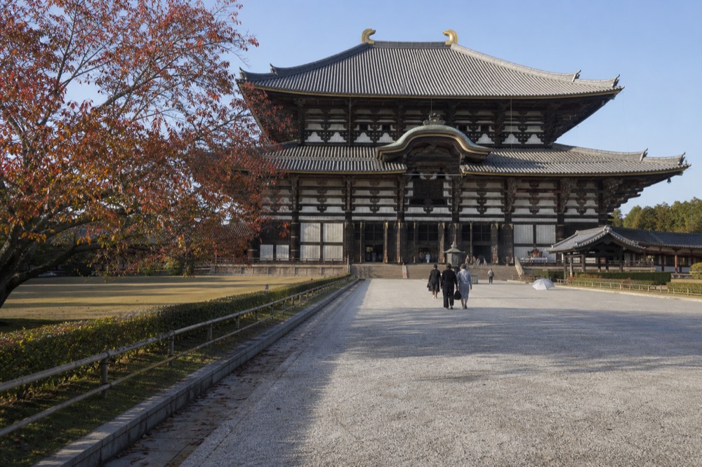 A vast wooden temple hall with a tiled roof seen across an open courtyard