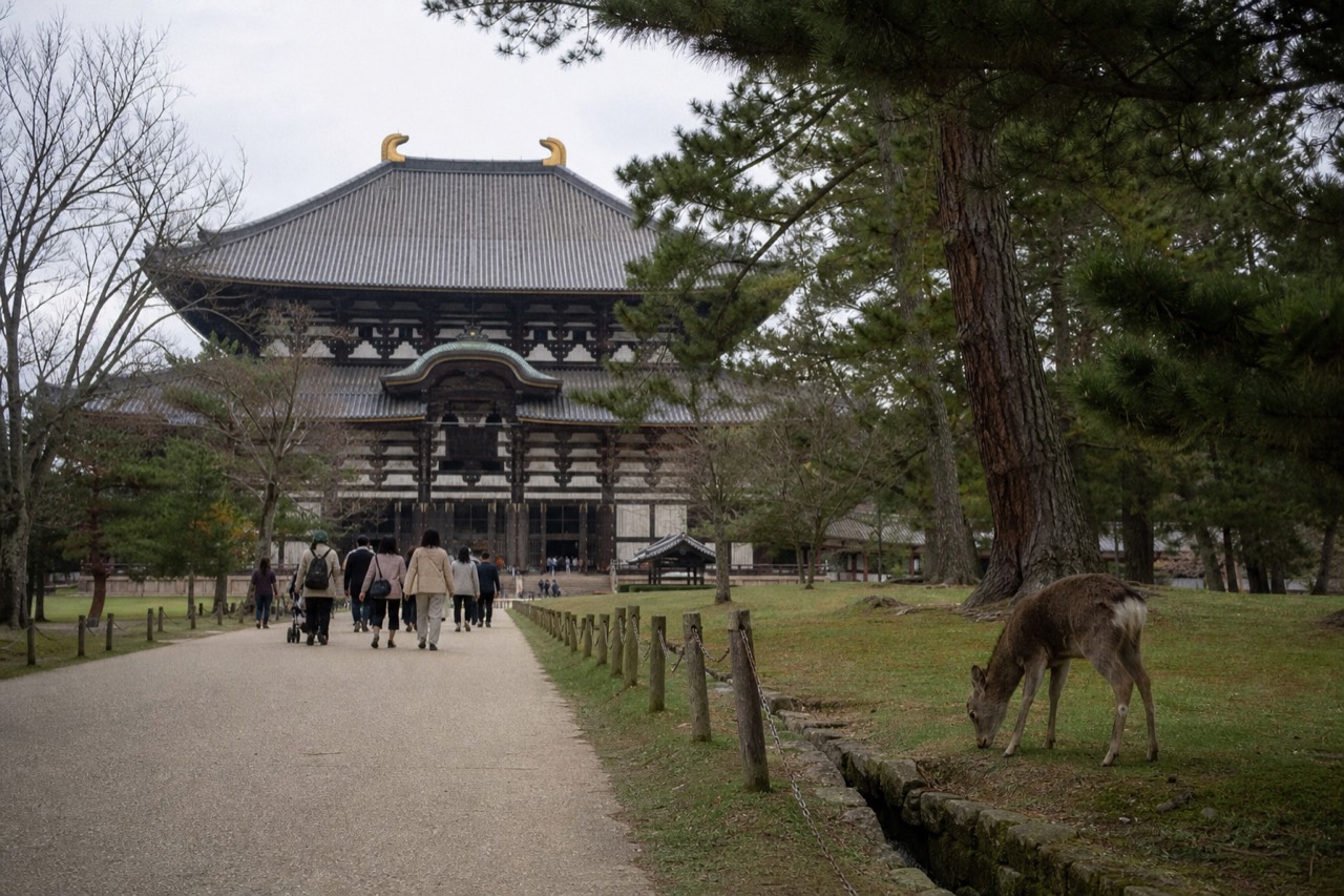 Great Buddha hall of Todai-ji seen from the approach path through Nara Park
