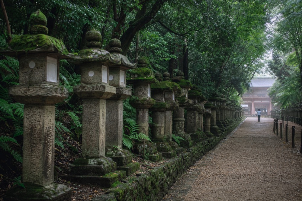 Deer standing on grass in Nara Park beside a stone lantern