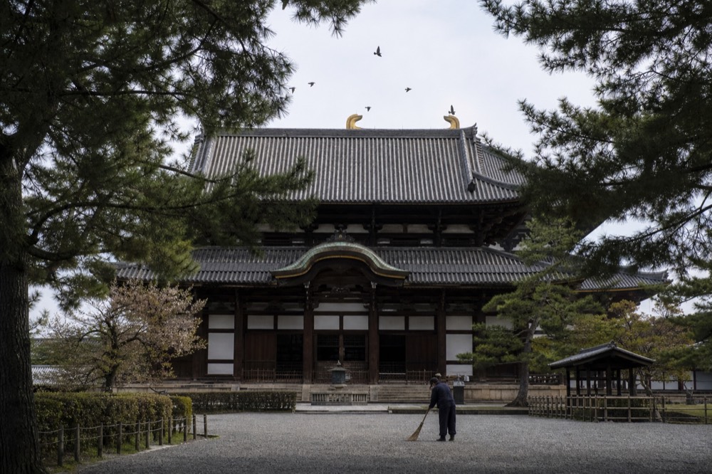 A large wooden temple hall with a sweeping tiled roof seen through trees
