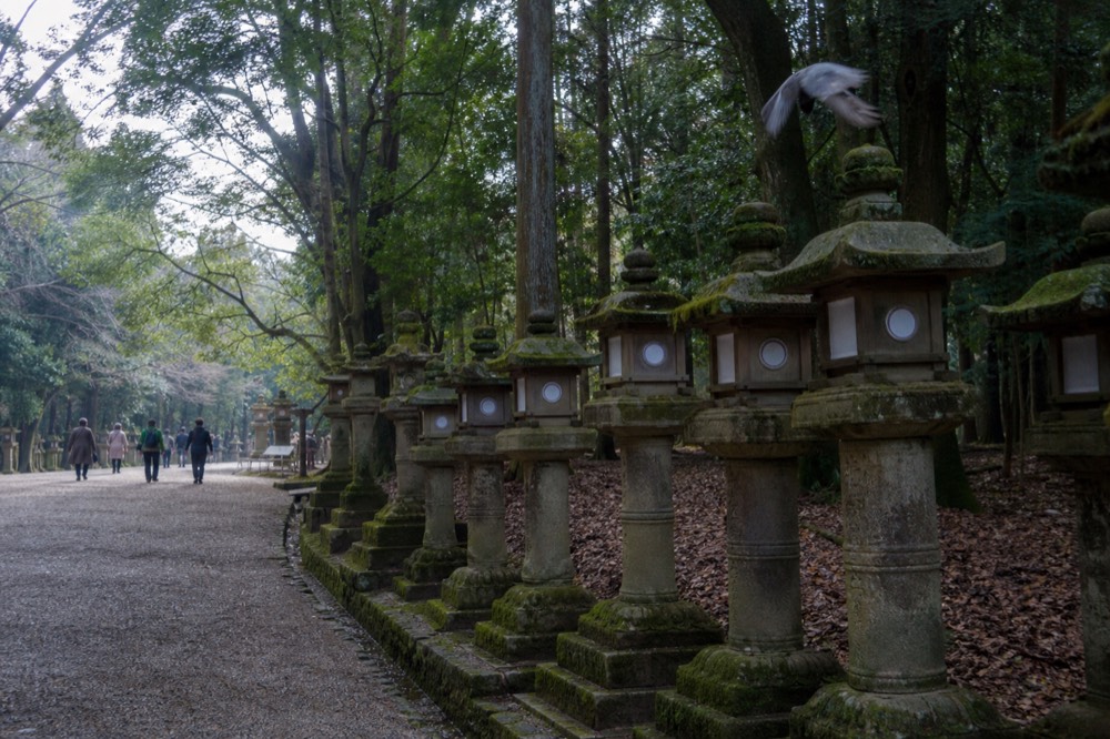 Row of stone lanterns covered in moss along the path to Kasuga Taisha