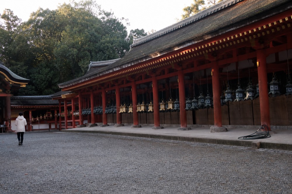 Panoramic view of the Kasuga Taisha main hall with bronze lanterns and forest backdrop