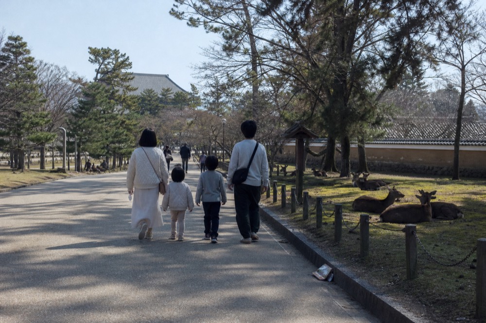A family walking along a path in Nara Park with deer resting on the grass beside them