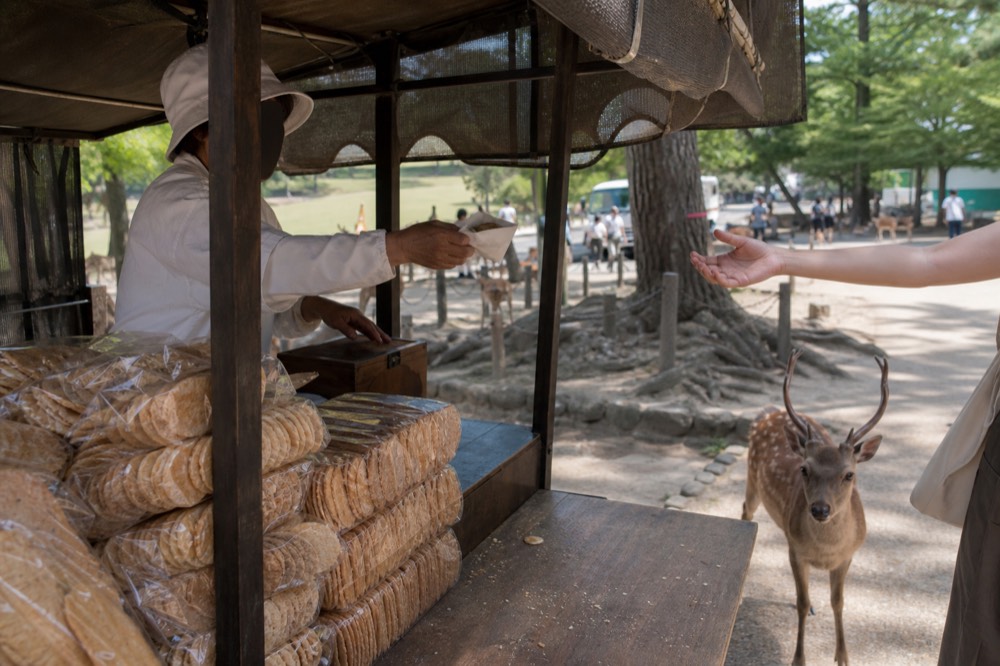A wooden cracker stall in Nara Park with a vendor handing a bundle to a visitor