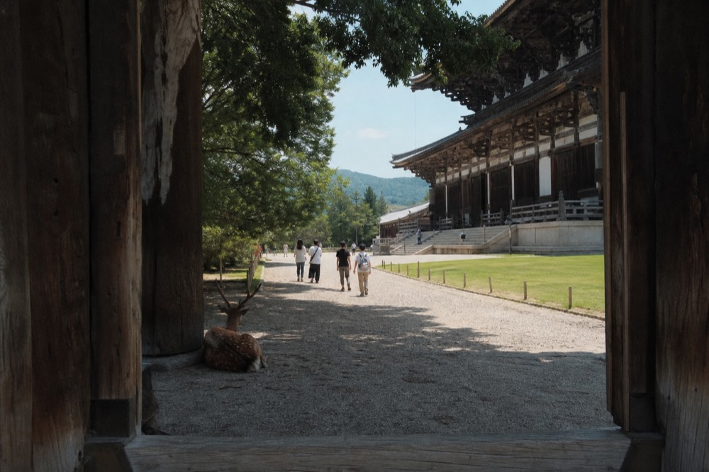 Visitors walking a stone path beside a large wooden temple hall