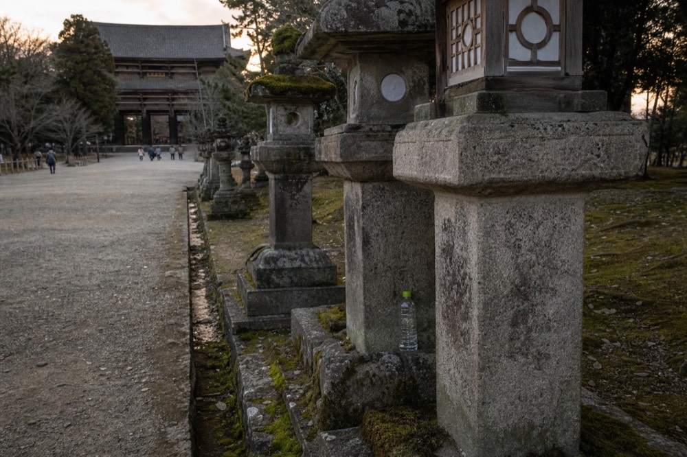Stone lanterns lining the approach path toward the Great Buddha hall gates
