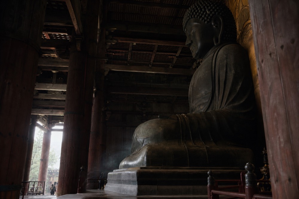 The dim interior of the Great Buddha hall with a towering seated bronze statue